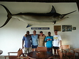 Malindi Wolf 267.jpg