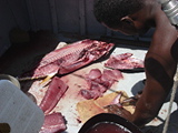 Malindi Wolf 253.jpg