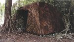 starbaits_bivvy_realtree_hardwood.jpg