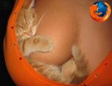 new-firefox-logo.jpg