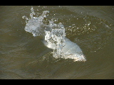 DSC_0143.jpg