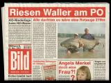 z-bild.jpg