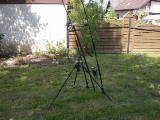 Bild 389.jpg