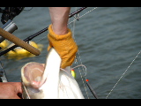 DSC_0388.jpg