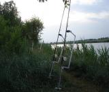 DSC05208.jpg