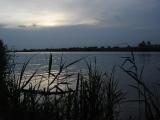 DSC05215.jpg