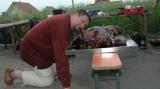 Beani_und_die_Sau_FFT_Wallerevent_07_102.jpg