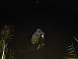 Waller 2007 033.jpg