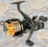 Shimano.jpg