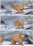 Bär.jpg