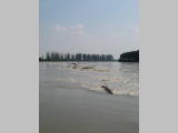 Hochwasser2.jpg