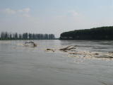 Hochwasser3.jpg