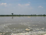 Hochwasser5.jpg