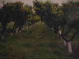 Wels Michel 15.07 .07 320.jpg