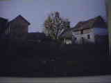 Wels Michel 15.07 .07 327.jpg