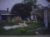 Wels Michel 15.07 .07 325.jpg
