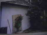 Wels Michel 15.07 .07 328.jpg