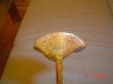 DSC03175.jpg