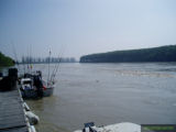 P4230005.jpg