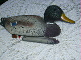 dscn00010cj.jpg