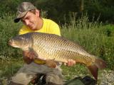 Donau Carp.jpg