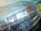 DSC00060_2.jpg