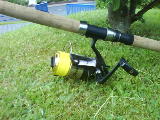 DSC0092622222222.jpg