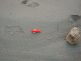 DSC00093.jpg