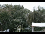 Winter1 14.10.09.jpg