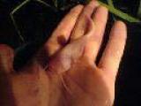 DSC07091.jpg