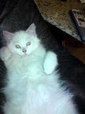 DSC00037.jpg