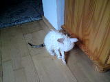 DSC00012.jpg
