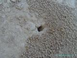PICT0282.jpg
