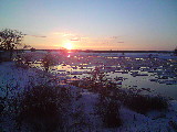 DSC00491.jpg