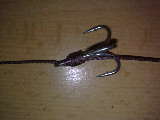 05052010361.jpg