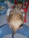 BIG PUSSY.jpg