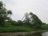 IMG_3327_600_450.jpg