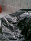Waller2009 013.jpg