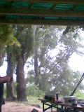 Waller2009 016.jpg