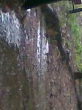 Waller2009 072.jpg
