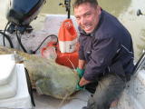 Po  Juni 2010 047.jpg