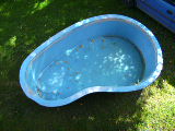 BILD16011.jpg