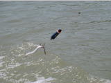 Bild 268.jpg