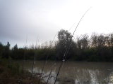 P1050967.jpg