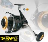 Black-Cat-770.jpg