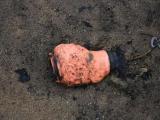 k-IMG_0310.jpg