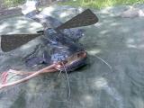 k-Flugwaller.jpg