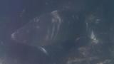 6-27-2011_001.jpg