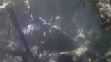 6-27-2011_002.jpg