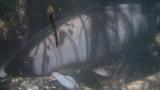 6-27-2011_004.jpg